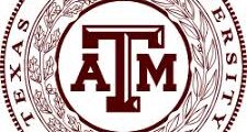 وظيفة محاضر كيمياء زائر في الدوحة لدى تكساس A&M