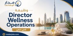 وظيفة director wellness operations في دبي