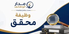وظيفة محقق لدى جهاز أبوظبي للمحاسبة في أبوظبي