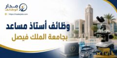 وظائف أستاذ مساعد بنظام نقل الخدمات في جامعة الملك فيصل