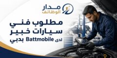وظيفة فني سيارات خبير لدى Battmobile في دبي