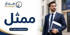 وظيفة ممثل لدى جامعة الإمارات العربية المتحدة في أبوظبي