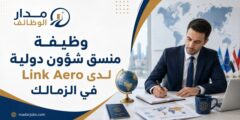 وظيفة منسق شؤون دولية لدى Link Aero في الزمالك